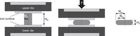 barrelling in compression test|Advancing mechanics of Barrelling Compression Test.